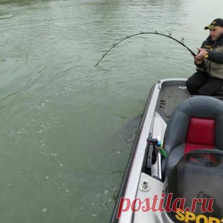 Этот рыбак даже не ожидал ТАКОГО улова