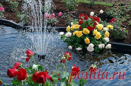 ФОНТАН В ЦВЕТНИКЕ