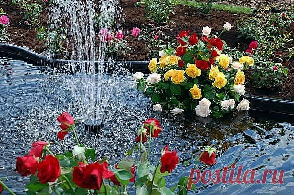 ФОНТАН В ЦВЕТНИКЕ