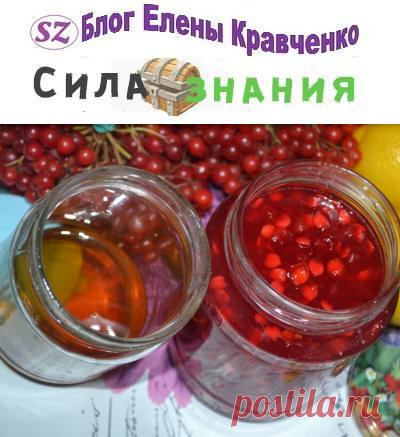 Калина с медом на зиму: пропорции и рецепты без варки