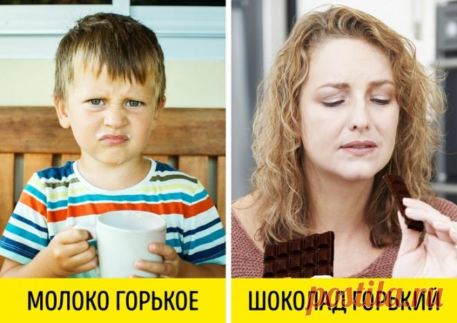 8 научных причин, почему мы любим вредную еду и не любим полезную