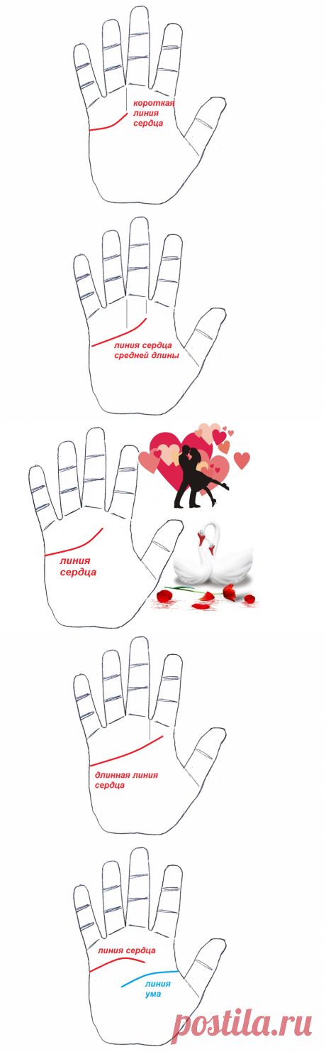 Линия сердца. Эмоциональность и чувственность человека | Алекс Фаталист I Хиромантия | Яндекс Дзен