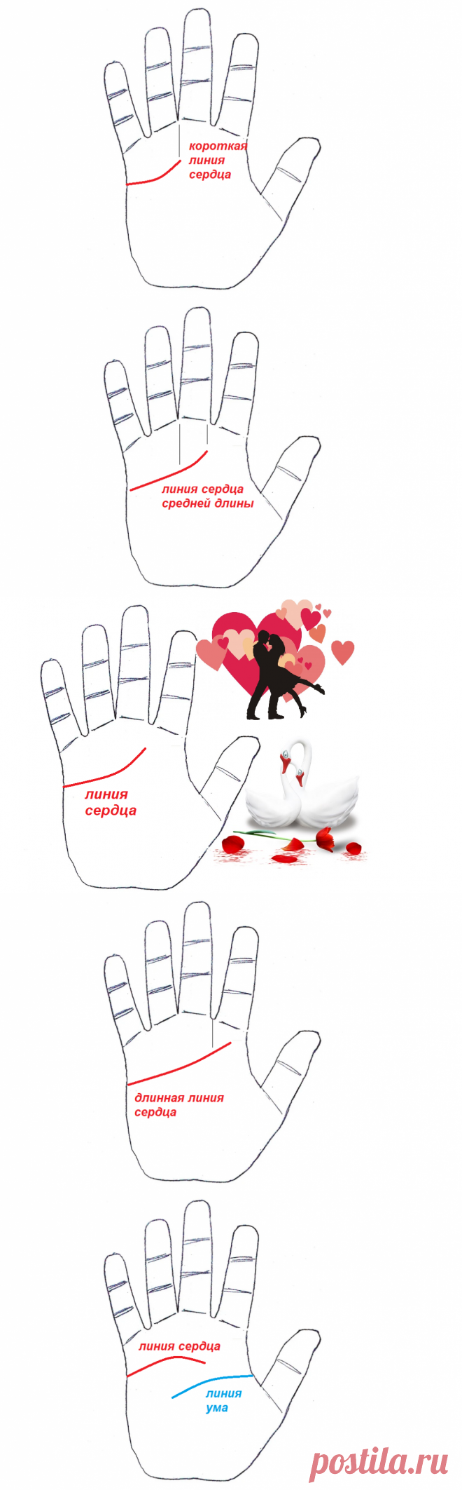 Линия сердца. Эмоциональность и чувственность человека | Алекс Фаталист I Хиромантия | Яндекс Дзен