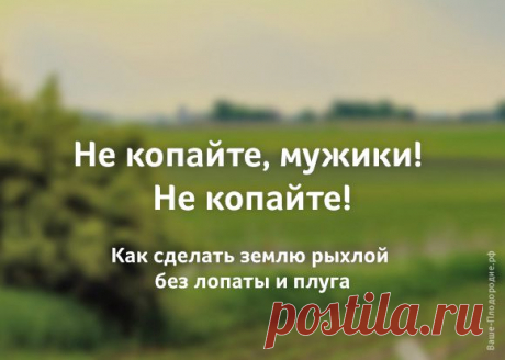 Не копайте! Или Как сделать землю рыхлой без лопаты - 6 соток