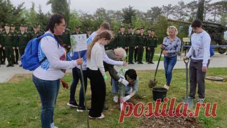 В Севастополе прошла высадка саженца-клона &quot;Тополя победы&quot;. На территории мемориального комплекса &quot;Сапун-гора&quot; в Севастополе высадили десятимиллионное дерево в рамках пятого сезона акции &quot;Сад памяти&quot;. В частности, был высажен саженец-клон знаменитого &quot;Тополя Победы&quot; из ...