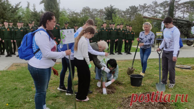 В Севастополе прошла высадка саженца-клона "Тополя победы". На территории мемориального комплекса "Сапун-гора" в Севастополе высадили десятимиллионное дерево в рамках пятого сезона акции "Сад памяти". В частности, был высажен саженец-клон знаменитого "Тополя Победы" из ...