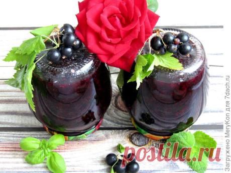 Варенье из черной смородины с базиликом и мятой. Рецепт с пошаговыми фото