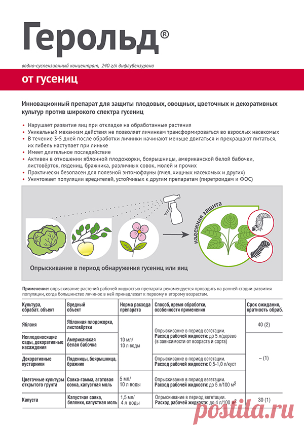 Герольд против капустницы Герольд коренным образом отличается по своему действию от широко применяемых фосфорорганических и пиретроидных препаратов. В состав инсектицида Герольд входит дифлубензурон – активно вещество, которое относится к регуляторам роста и развития насекомых – ингибиторам синтеза хитина. Его...