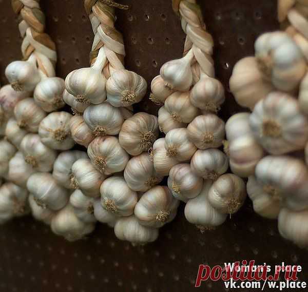 Чесночный ликер от кучи болезней. В... / Уход за собой / здоровье / Pinme.ru / Алла Рыбчинская