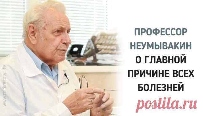 Профессор Неумывакин: «Я перестал пить чай и всем советую…» Очень полезное интервью. Прислушайтесь и будьте здоровы!