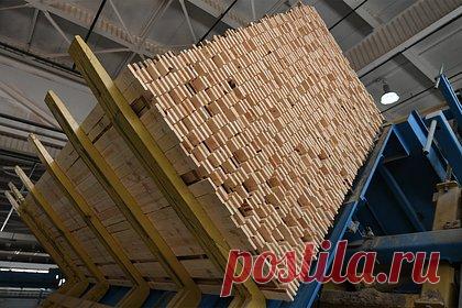 Россиянин украл у клиента биткоины ради пиломатериала для бани. В Красноярске местный житель украл биткоины у клиента, чтобы построить баню. В 2021 году россиянин захотел получить пассивный заработок и обратился к другу-специалисту. Тот собрал ему майнинг-ферму, создал новую почту и специальный аккаунт. За это бизнесмен попросил 250 тысяч рублей. У специалиста остались все пароли.