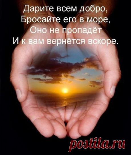 Адонис весенний, летний -народные названия: горицвет , стародубка , черногорка, желтоцвет .