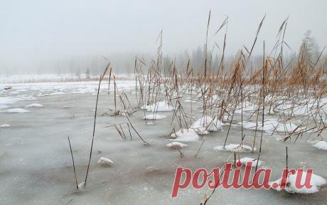 Картинки пейзаж, озеро, зима, камыш, природа на рабочий стол » Природа