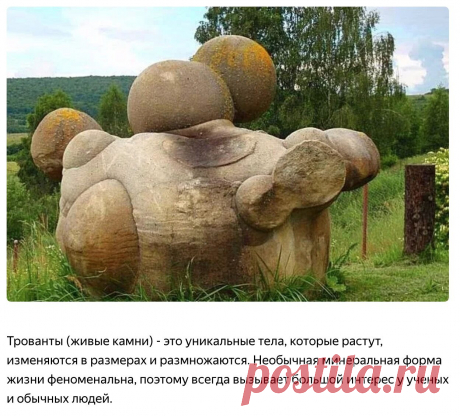 Камни