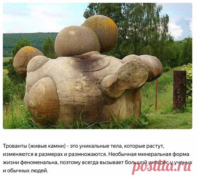 Камни
