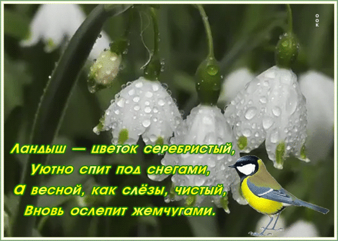 Картинка с весной со стихами