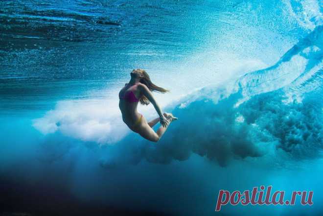 ЮМОР ФОТОПАНОРАМА. ЧАСТЬ ВТОРАЯ | Калейдоскоп новостей | Яндекс Дзен