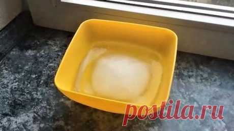&quot;Живая вода&quot; для полива рассады