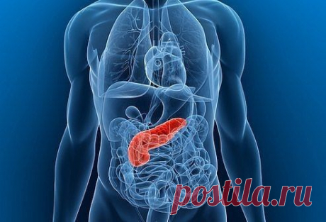 Лечение поджелудочной железы.