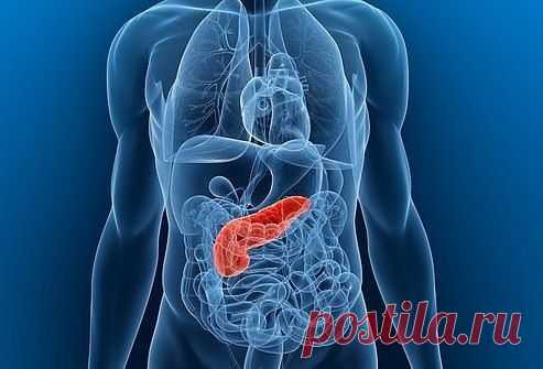 Лечение поджелудочной железы.
