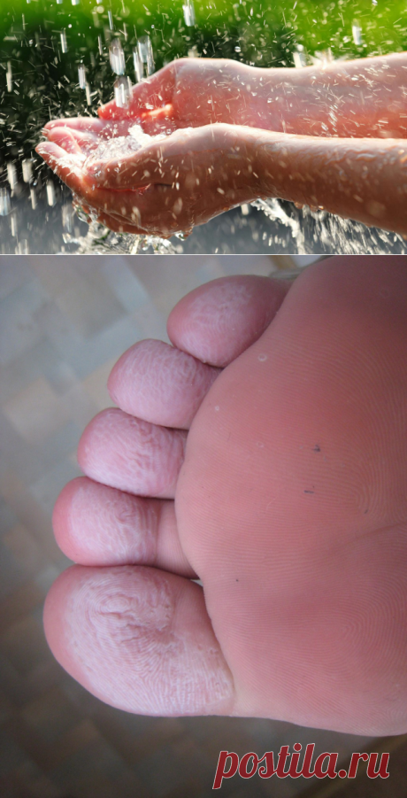 Почему кожа на ваших пальцах сморщивается, когда вы принимаете ванну?

Все знают, как определить, что пора вылезать из ванны: когда вода в ванне остыла, а бутылка пива — опустела. Однако когда мы были моложе, существовал другой, намного менее вредный для печени способ узнать, что пора вылезти из ванны: когда кожа на кончиках пальцев начинала сморщиваться, словно чернослив. В течение долгого времени наука не могла ответить, почему это происходит. Однако сейчас они, похоже, раскололи этот крепки