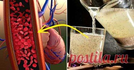 Пей ароматный отвар трижды в день, и через 4 недели ты забудешь о скачках давления