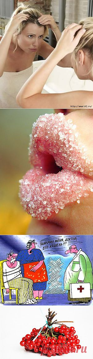 Медицина и здоровье | Записи в рубрике Медицина и здоровье | Дневник Шрек_Лесной