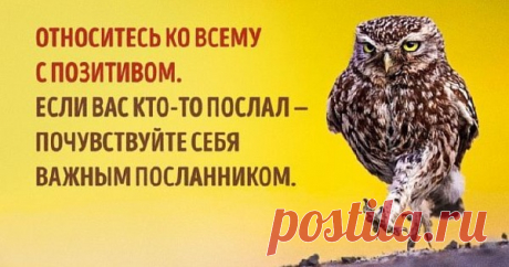 7 способов изменить свое отношение к жизни Иногда обстоятельства изменить не получается — по крайней мере не так быстро, как хотелось бы. Мы не можем добраться до работы без пробок на дорогах или толчеи в метро, не …