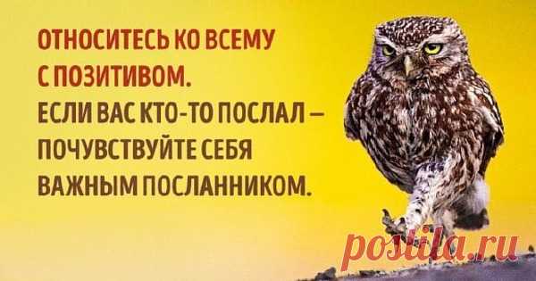 7 способов изменить свое отношение к жизни Иногда обстоятельства изменить не получается — по крайней мере не так быстро, как хотелось бы. Мы не можем добраться до работы без пробок на дорогах или толчеи в метро, не …