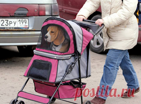 Какие то сложные вы, все лоботрясы, пошел дальше...