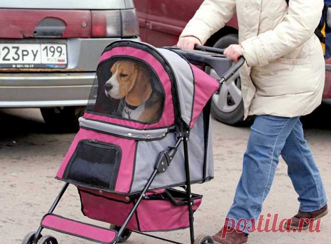Какие то сложные вы, все лоботрясы, пошел дальше...