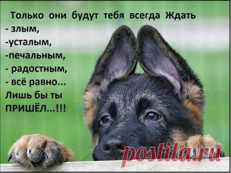 Интересные новости