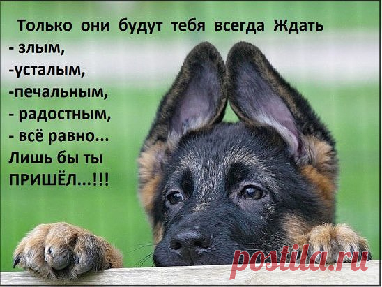 Интересные новости