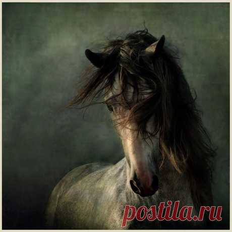 п0ь