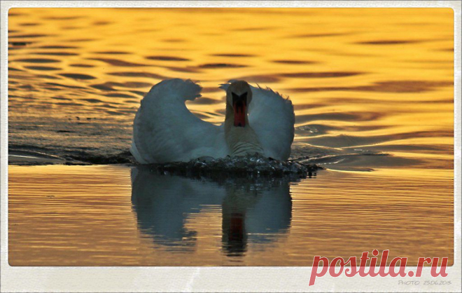 навсех парусах