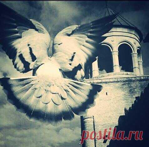 ԻՄ ՍՈՒՐԲ ՀԱՅՐԵՆԻՔ

Իմ սուրբ հայրենիք, դու սրտիս մեջ ես,
Դու սրտիս մեջ ես, ոչ լեզվիս վրա,
Իմ սրտի միջից, թե սիրտս ճեղքես՝
Դրոշիդ բոցը պիտի հուրհրա։

Չեմ ուզում գոռալ իմ սիրո մասին,
Սակայն, իմացիր, հայրենիք իմ մեծ,
Քեզ հարյուր տեղով խոցեց թշնամին,
Բայց հազար տեղով իմ սիրտը խոցվեց։

Ես ամբողջովին քոնն եմ, հայրենիք,
Եվ մոմի նման, ճամփեքիդ վրա
Քո փառքի համար թե մի օր վառվեմ,
Մոխրաբիծ անգամ ինձնից չի մնա։

(Հովհաննես Շիրազ)