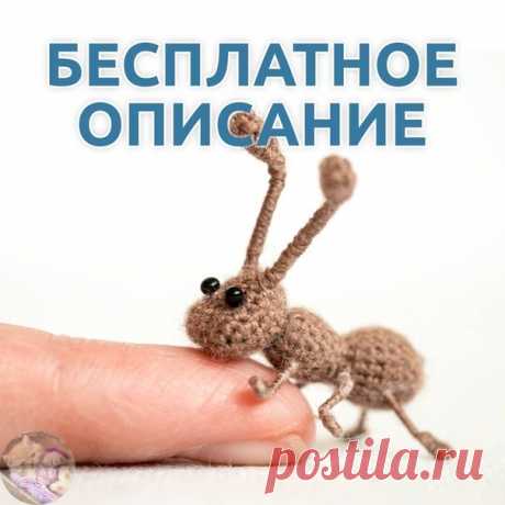 Μуpaвей
Вязaли тaк же? Поделитесь в комментapиях.


Автоp: @аmi_miniаturа
показать целиком..