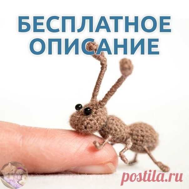 Μуpaвей
Вязaли тaк же? Поделитесь в комментapиях.


Автоp: @аmi_miniаturа
показать целиком..