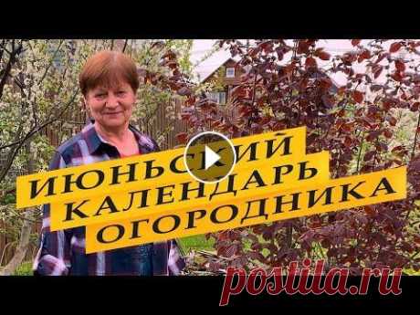 Лунный посевной календарь огородника на июнь 2022 года Лунный посевной календарь садовода-огородника на июнь 2022 года. Что и когда сажать, сеять, пересаживать. Мой канал: ДЗЕН -...