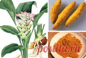 КУРКУМА