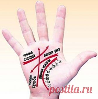 КАК ЧИТАТЬ ЛИНИИ НА РУКАХ
Немного о том, что мы и как можем прочитать по нашей руке благодаря хиромантии. Другими словами - как гадать по руке и с чего начать :) 
1. Определите ту руку, какую необходимо изучать.
В хиромантии существуют понятия «активная рука» и «пассивная рука». Активная рука – это чаще всего та рука, которой вы пишете, соответственно пассивная – другая. Пассивная рука отвечает за наследственные признаки, за то, что в вас заложено генетически, а активная –...