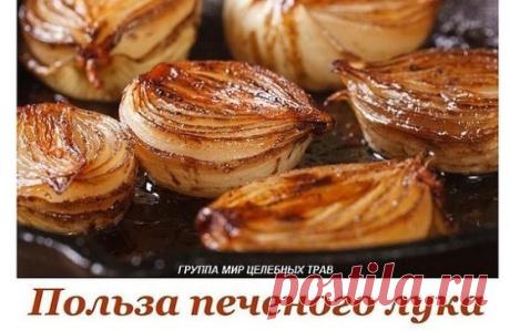 (24) Одноклассники