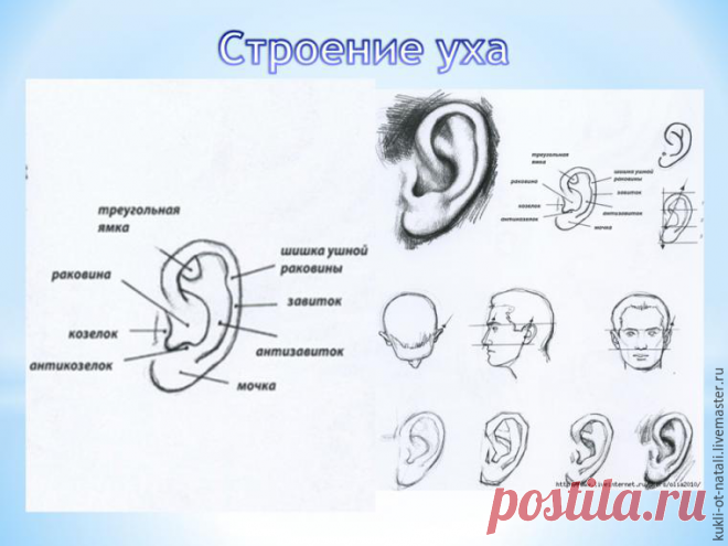 Мастер-класс: делаем реалистичное ухо для куклы в технике «скульптурный текстиль» | Журнал Ярмарки Мастеров