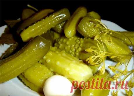 КВАШЕНЫЕ ОГУРЧИКИ С КРАПИВОЙ