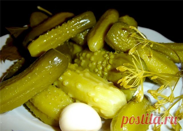 КВАШЕНЫЕ ОГУРЧИКИ С КРАПИВОЙ