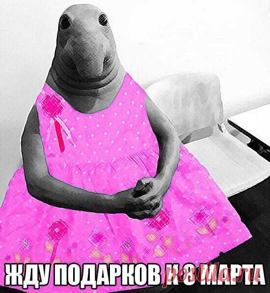 Сборник приколов в честь 8 марта Большая подборка смешных картинок и разнообразных шуток посвященная завтрашнему празднику милых дам.

1. 




  
 






 
 
 

2. 




  
 







3. 




  
 






 
 
 

4. 




  
 






 
 
 

…