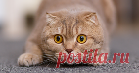 DoubleU Casino на Facebook
