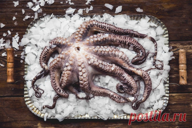 Вкусные снимки с фотоконкурса «Food Photographer 2016» — Фотоискусство