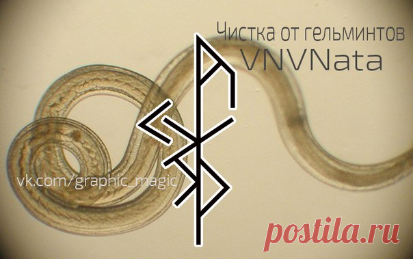 ЧИСТКА ОТ ГЕЛЬМИНТОВ
автор VNVNata

Поруника: 
Nauthiz зерк. - мобилизация внутренних сил организма для борьбы с паразитами 
Показать полностью…