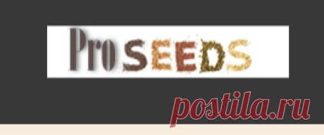 Цветы